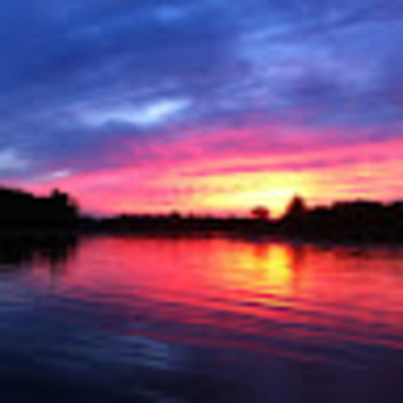 Meet your Posher, John - Picture 1 of 1